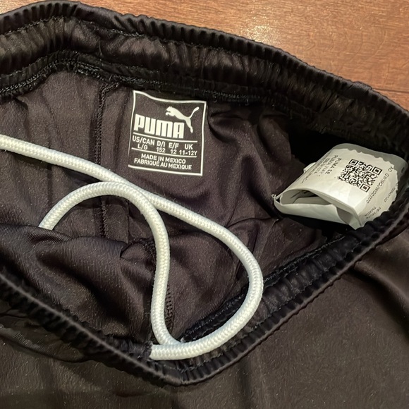 Puma Dry Fit Shorts - Picture 3 of 6